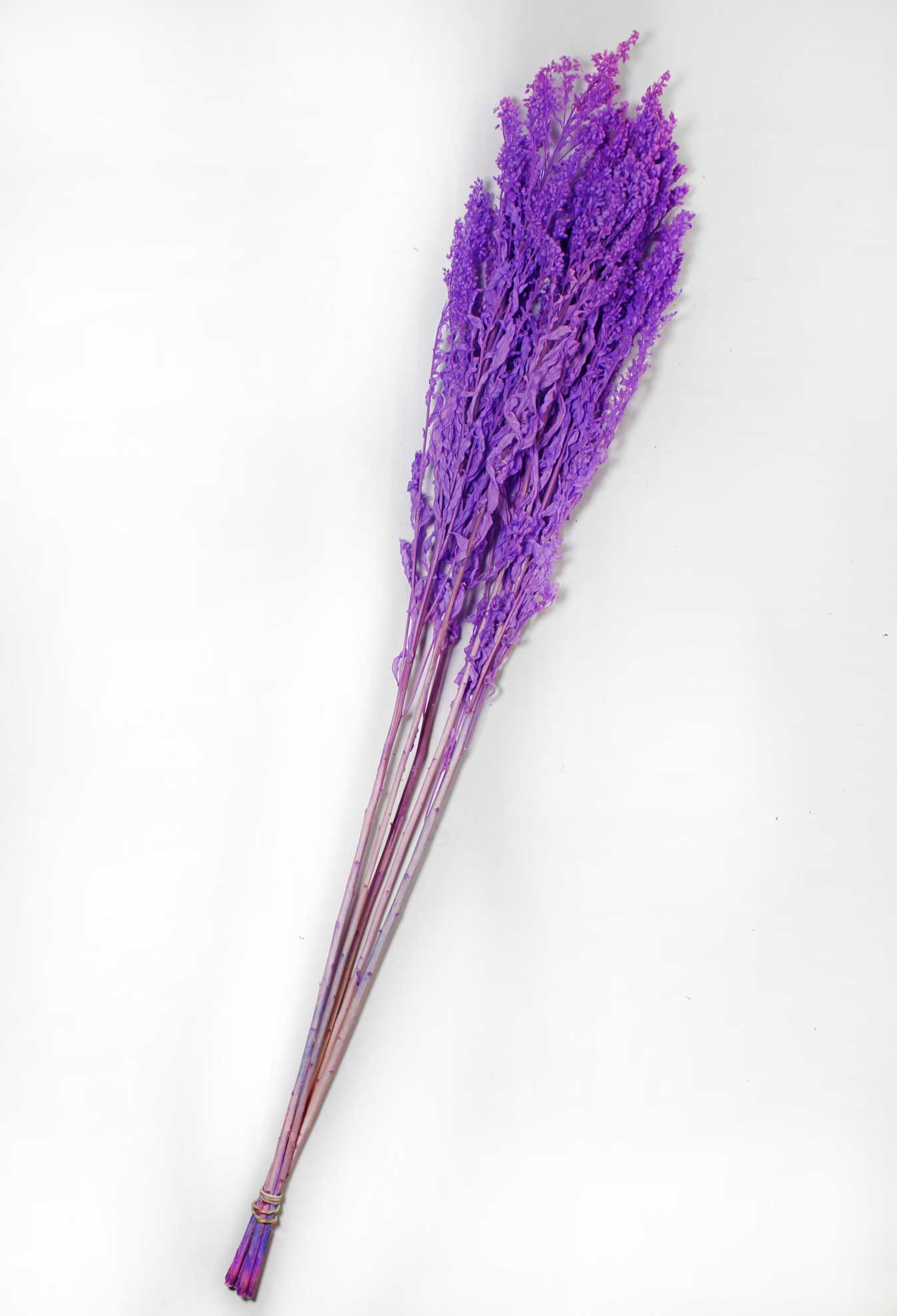 139-LAVENDER-SOLIDAGO-WEB